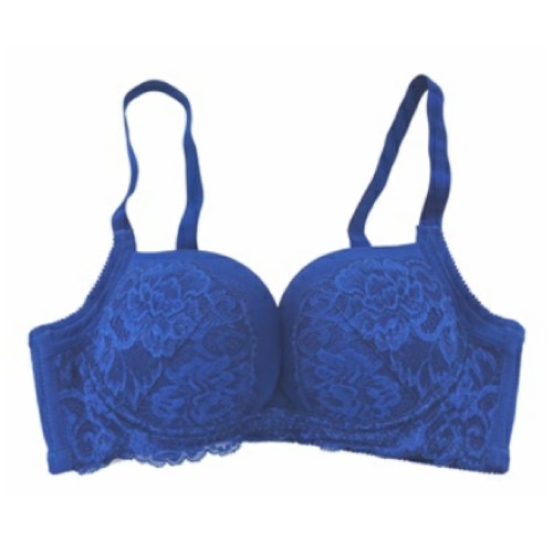 Official image of Brassiere published by OECD 2