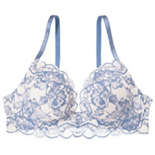 Official image of Brassiere published by OECD 2