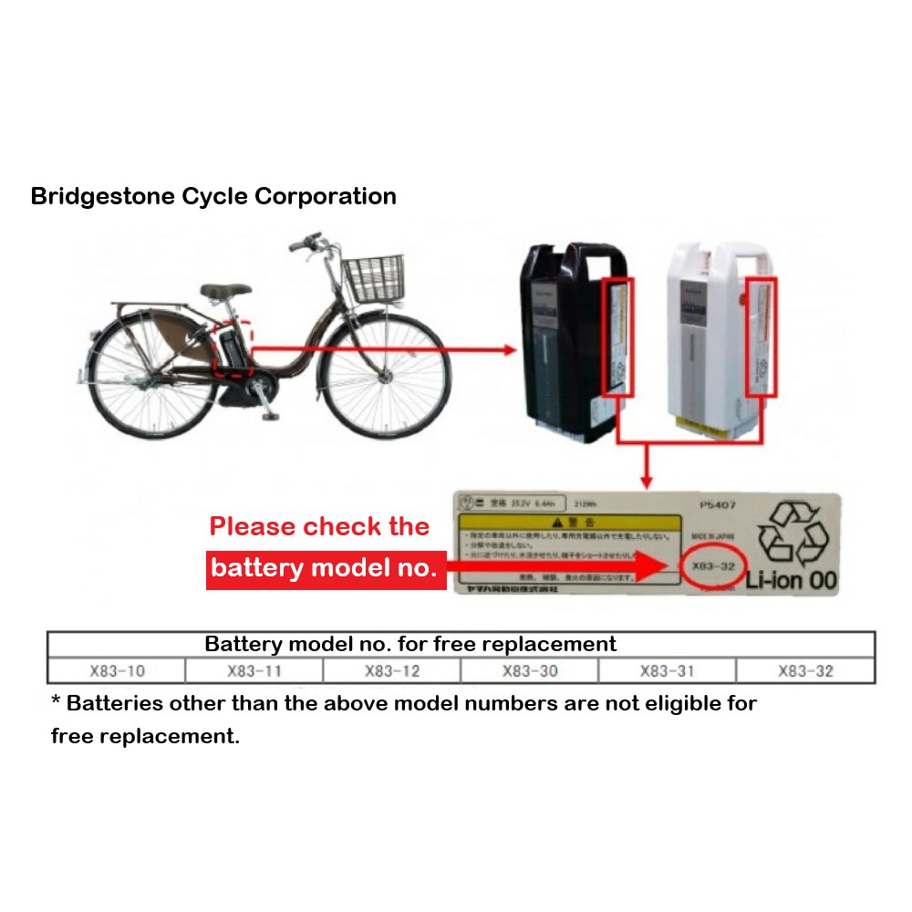 Official image of Battery for Electric Assist Bicycle published by OECD 2