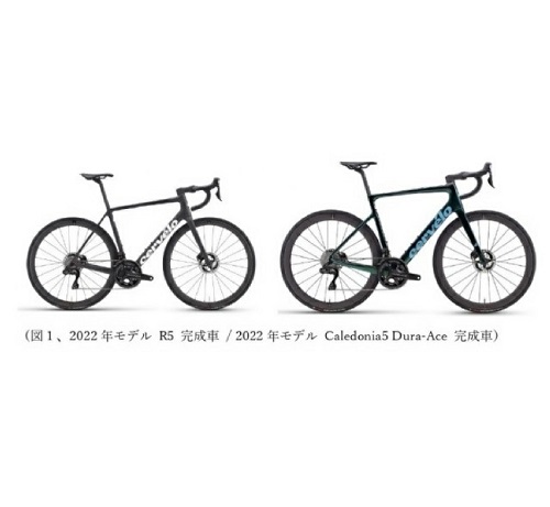 Official image of Bicycle (Stems) published by OECD 2