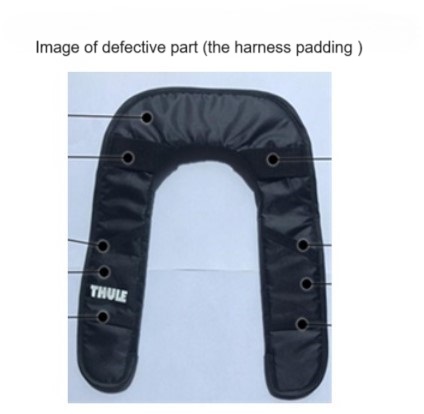 Official image of Child bike seats Thule RideAlong published by OECD 2