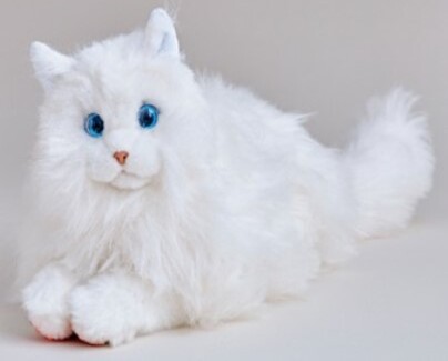 Official image of KIMIT Ragdoll (brown) KIMIT Ragdoll (white) published by OECD 2