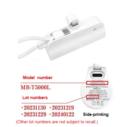 Official image of Lithium battery charger published by OECD 4
