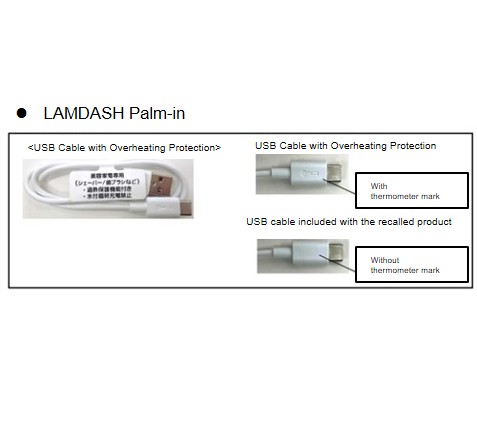 Official image of Electric shaver LAMDASH Palm-in Entry-level 3-blade shaver published by OECD 3