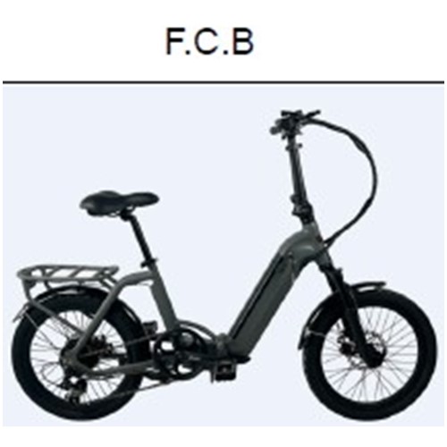 Official image of Electric power-assisted bicycle published by OECD 2