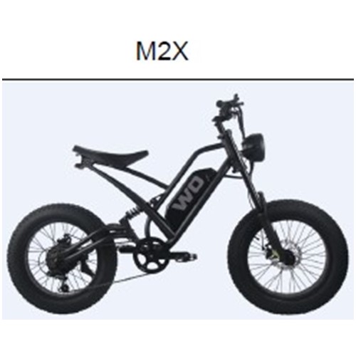 Official image of Electric power-assisted bicycle published by OECD 3