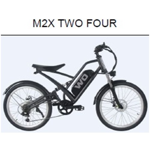 Official image of Electric power-assisted bicycle published by OECD 4