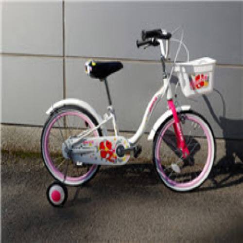 Official image of Bicycle for children published by OECD