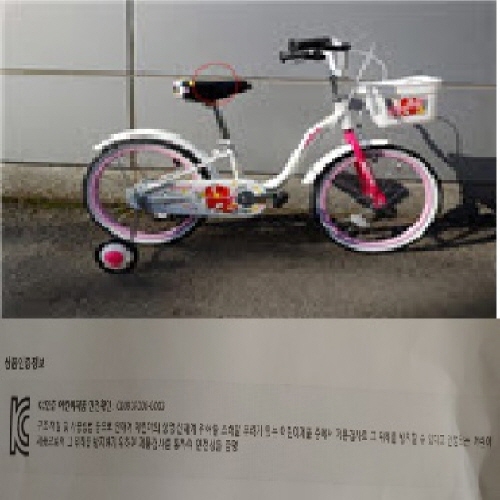 Official image of Bicycle for children published by OECD 2