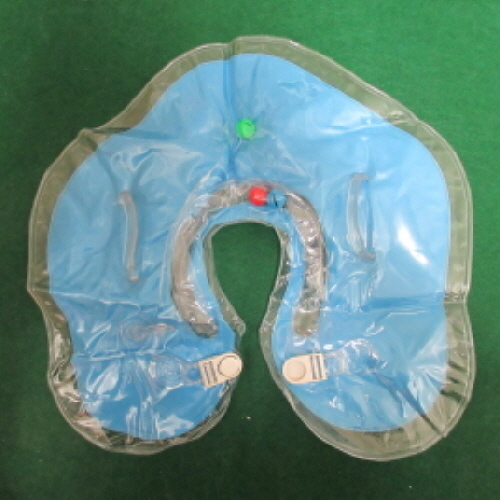 Official image of Air-filling inflatable tube for children published by OECD 2