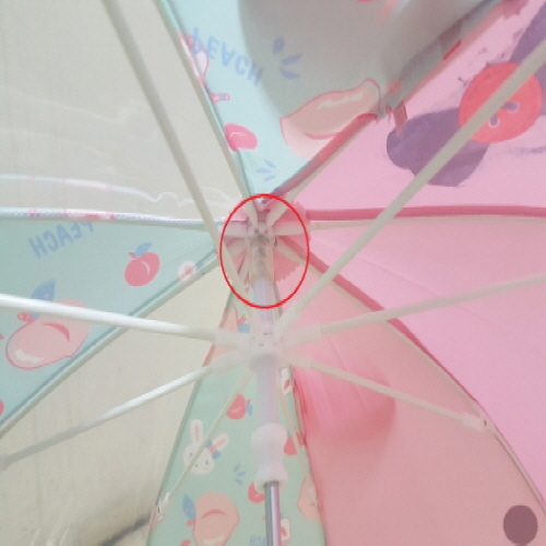 Official image of Umbrella for children published by OECD 2