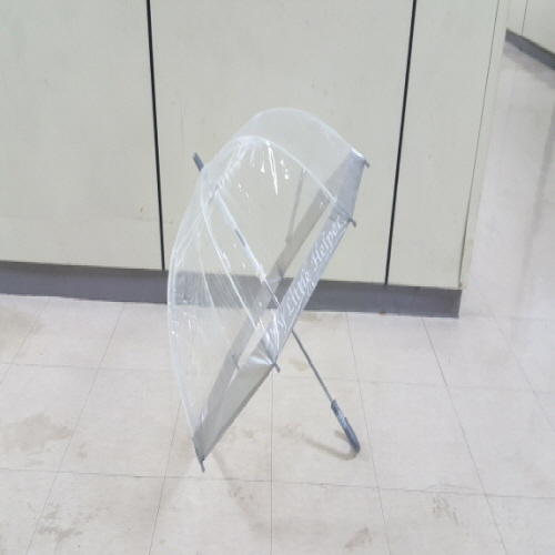 Official image of Umbrella for children published by OECD