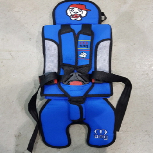 Official image of Safety car seat for children published by OECD