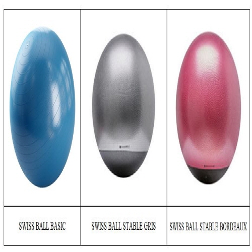 Official image of SWISS BALL published by OECD 2