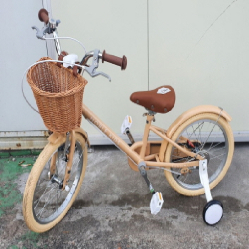 Official image of Bike for children published by OECD