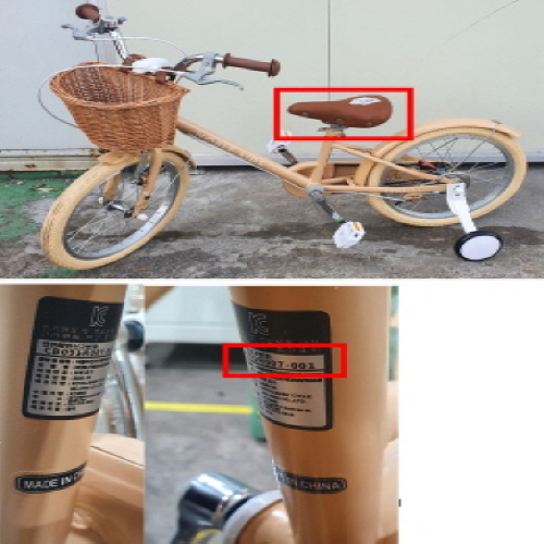 Official image of Bike for children published by OECD 2