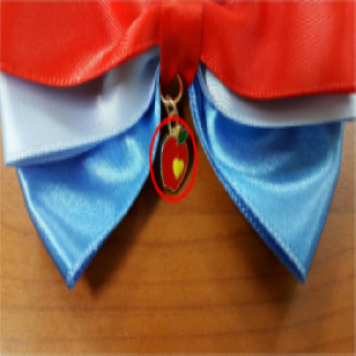 Official image of Jewellery for children published by OECD 2