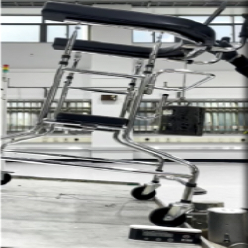 Official image of Rollator (walking aids for seniors) published by OECD 2