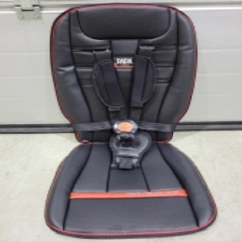 Official image of Booster car seat (Safety car seat for children) published by OECD